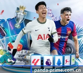 本站五个常用功能入口,赛程查询路径更短 - 多运动项目内容板块 - panda sports