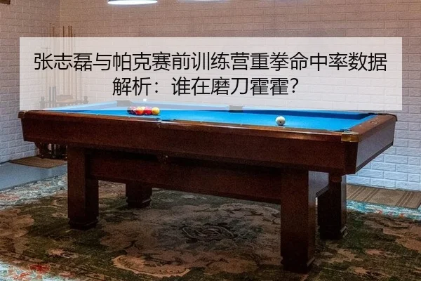 张志磊与帕克赛前训练营重拳命中率数据解析：谁在磨刀霍霍？