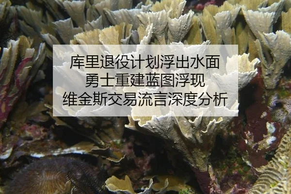 ku-li-tui-yi-ji-hua-fu-chu-shui-mian-yong-shi-chong-jian-lan-tu-fu-xian-wei-jin-si-jiao-yi-liu-yan-shen-du-fen-xi-2-344.jpg